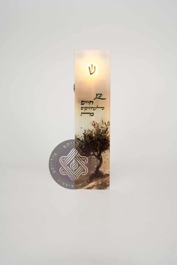 עץ החיים