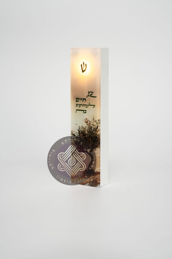 ⁦עץ החיים⁩ – תמונה ⁦3⁩