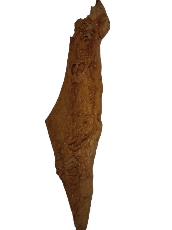 מזוזה דמוגרפית מעץ, במבט אנכי על רקע לבן